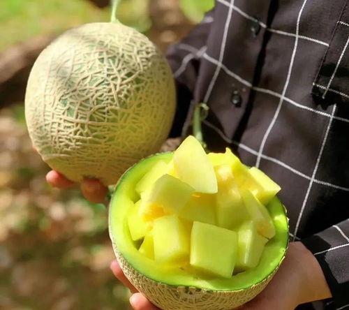 娱乐圈有什么瓜可以吃吗,揭秘明星幕后故事与热点事件 第2张 娱乐圈有什么瓜可以吃吗,揭秘明星幕后故事与热点事件 第2张